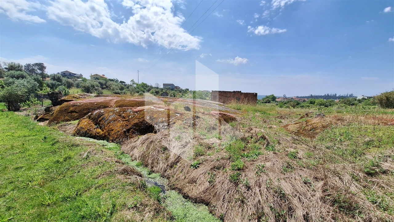 Terreno Agricola ou Rústico para Venda em Lajeosa do Dão Foto 6