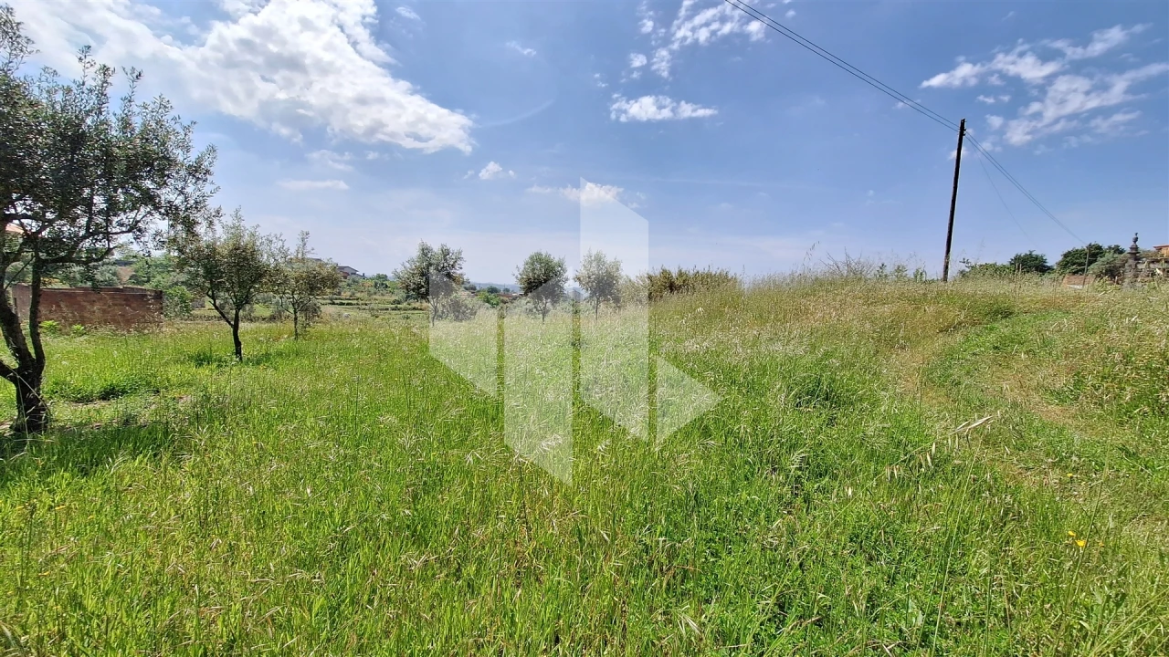 Terreno Agricola ou Rústico para Venda em Lajeosa do Dão Foto 4