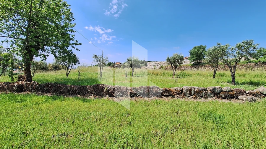 Terreno Agricola ou Rústico para Venda em Lajeosa do Dão Foto 5