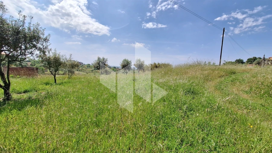 Terreno Agricola ou Rústico para Venda em Lajeosa do Dão Foto 4