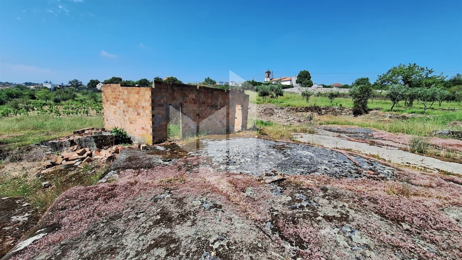 Terreno Agricola ou Rústico para Venda em Lajeosa do Dão Foto 8