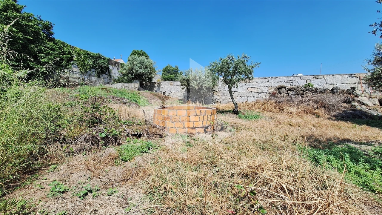 Terreno Agricola ou Rústico para Venda em Lajeosa do Dão Foto 1