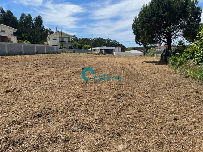 Terreno para Venda em Canedo, Vale e Vila Maior Foto 19