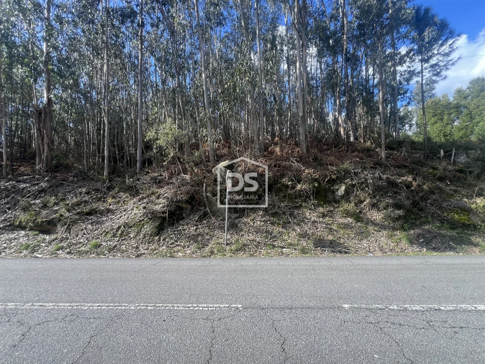 Terreno para Venda em Sobreira Foto 2