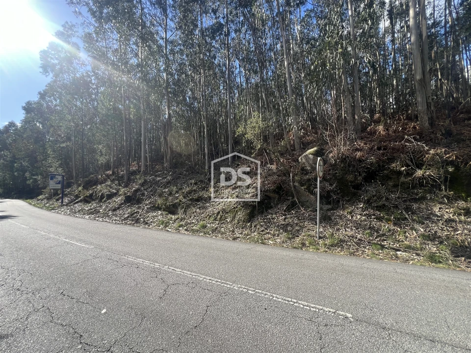 Terreno para Venda em Sobreira Foto 5