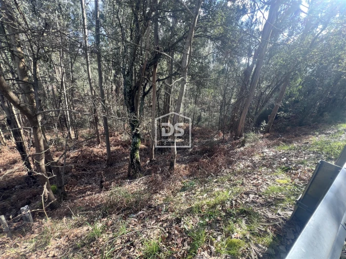 Terreno para Venda em Sobreira Foto 14