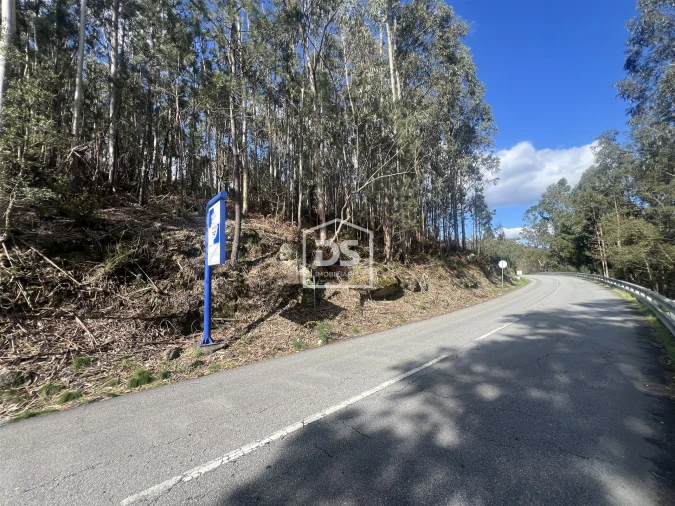 Terreno para Venda em Sobreira Foto 8