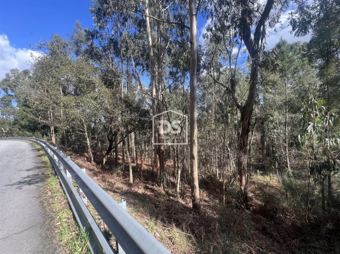 Terreno para Venda em Sobreira Foto 17