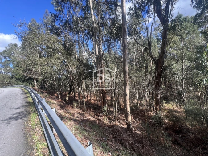 Terreno para Venda em Sobreira Foto 12