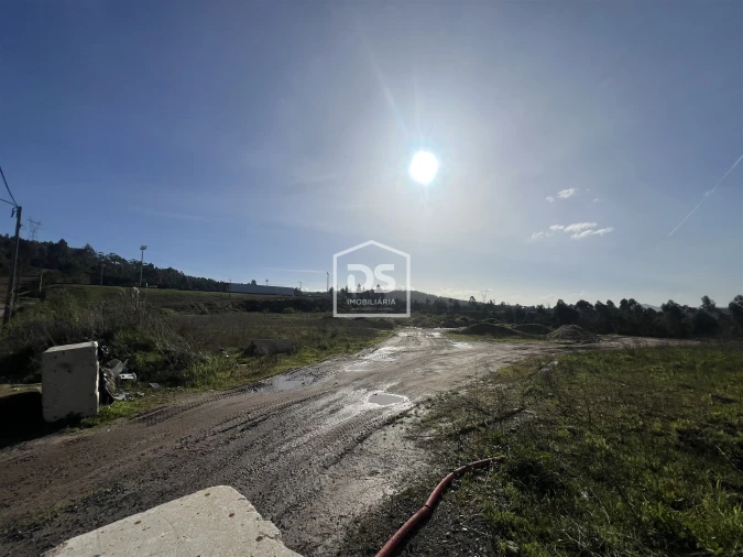 Terreno para Venda em Paredes Foto 5