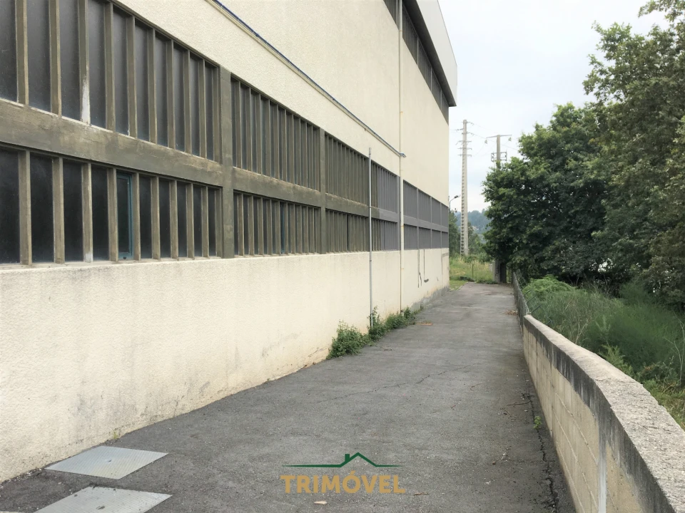 Negócio para Arrendamento em Vila de Cucujães Foto 16