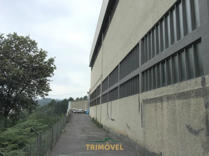 Negócio para Arrendamento em Vila de Cucujães Foto 15