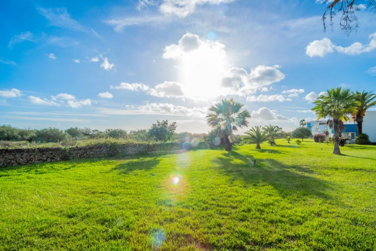 Apartamento T1 para Venda em Conceição e Cabanas de Tavira Foto 18