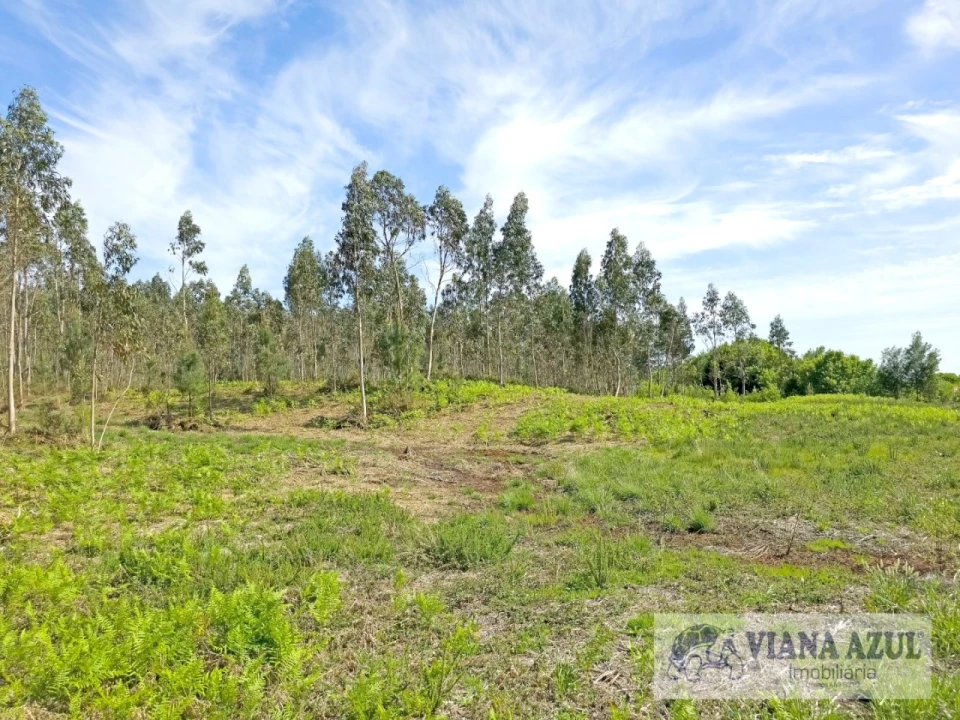 Terreno para Venda em Nogueira, Meixedo e Vilar de Murteda Foto 3