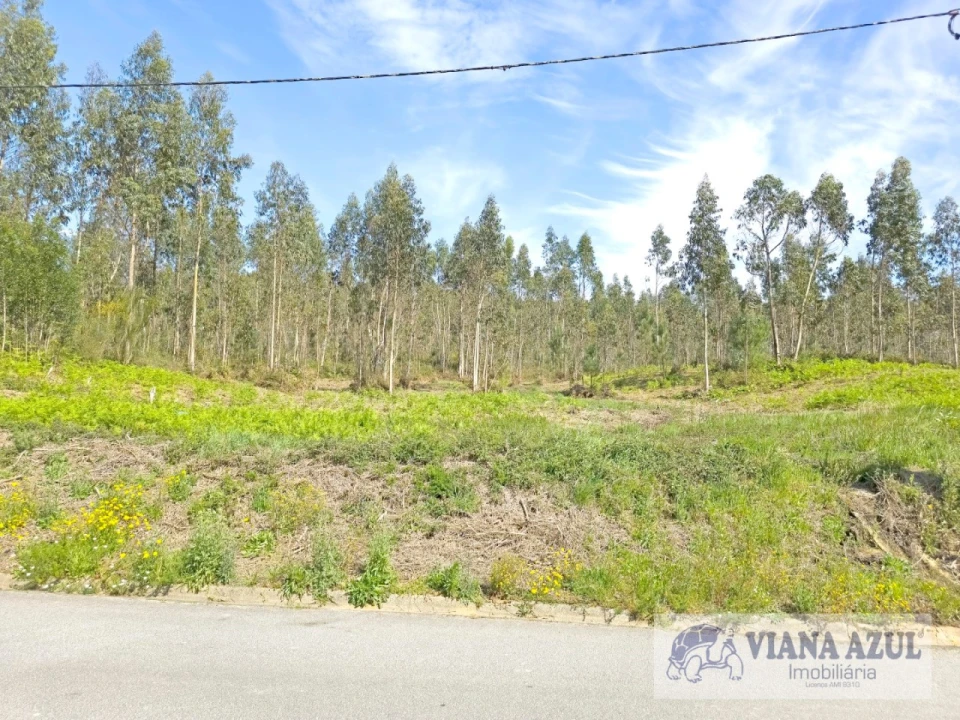 Terreno para Venda em Nogueira, Meixedo e Vilar de Murteda Foto 6