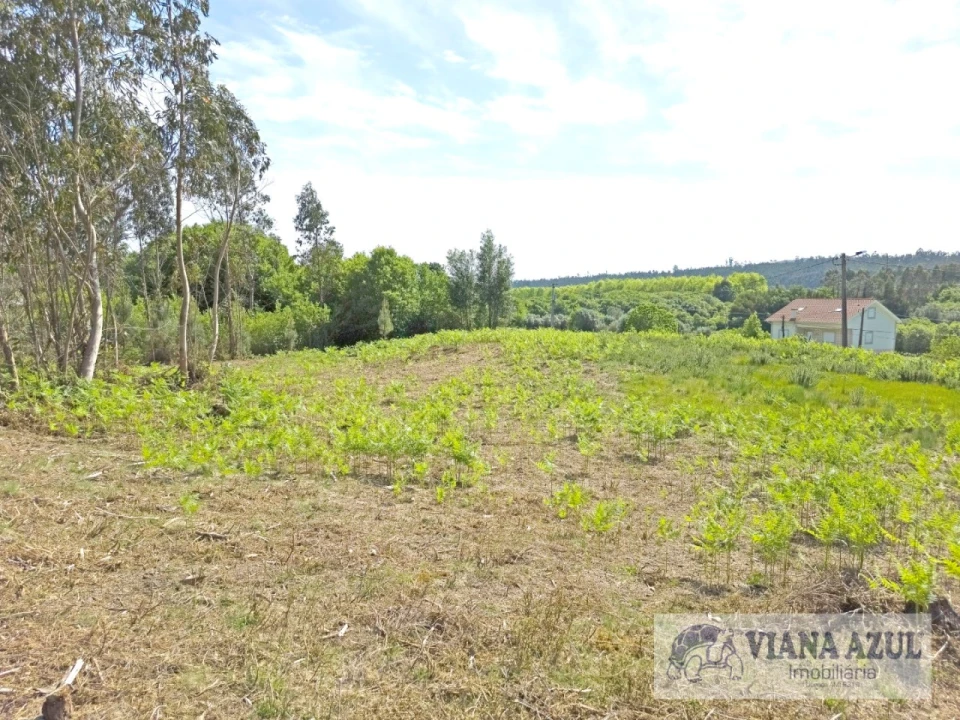 Terreno para Venda em Nogueira, Meixedo e Vilar de Murteda Foto 10