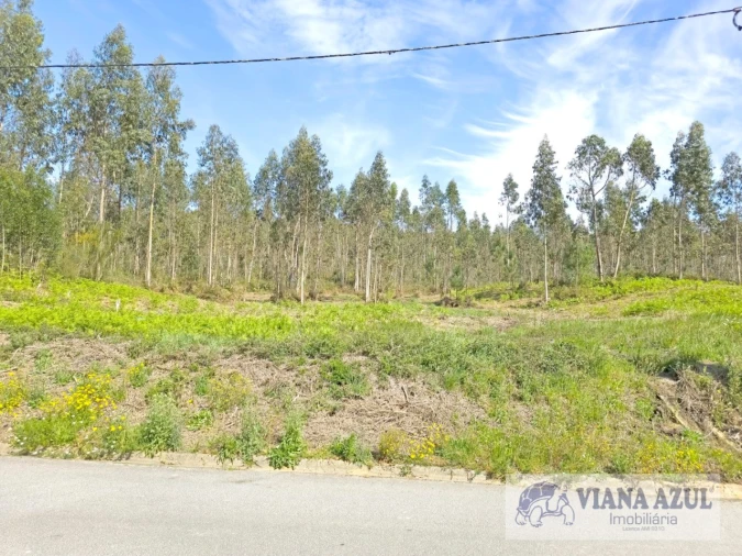 Terreno para Venda em Nogueira, Meixedo e Vilar de Murteda Foto 6