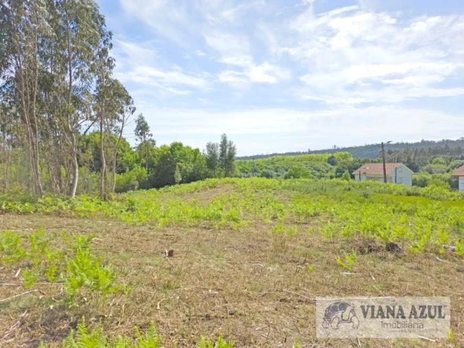 Terreno para Venda em Nogueira, Meixedo e Vilar de Murteda Foto 9