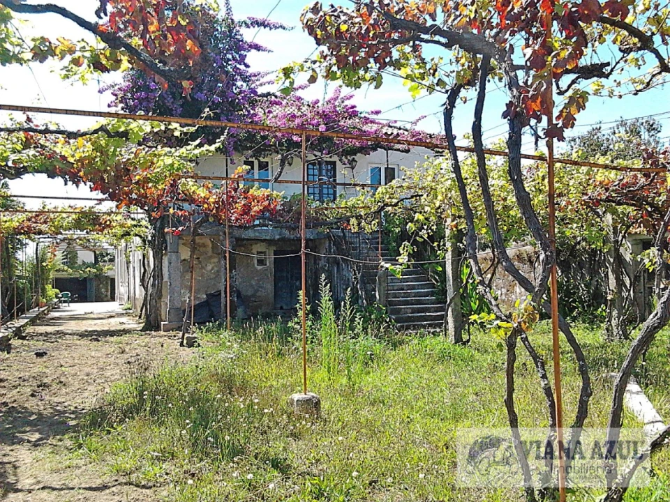 Quinta T8 para Venda em Santa Marta de Portuzelo Foto 2