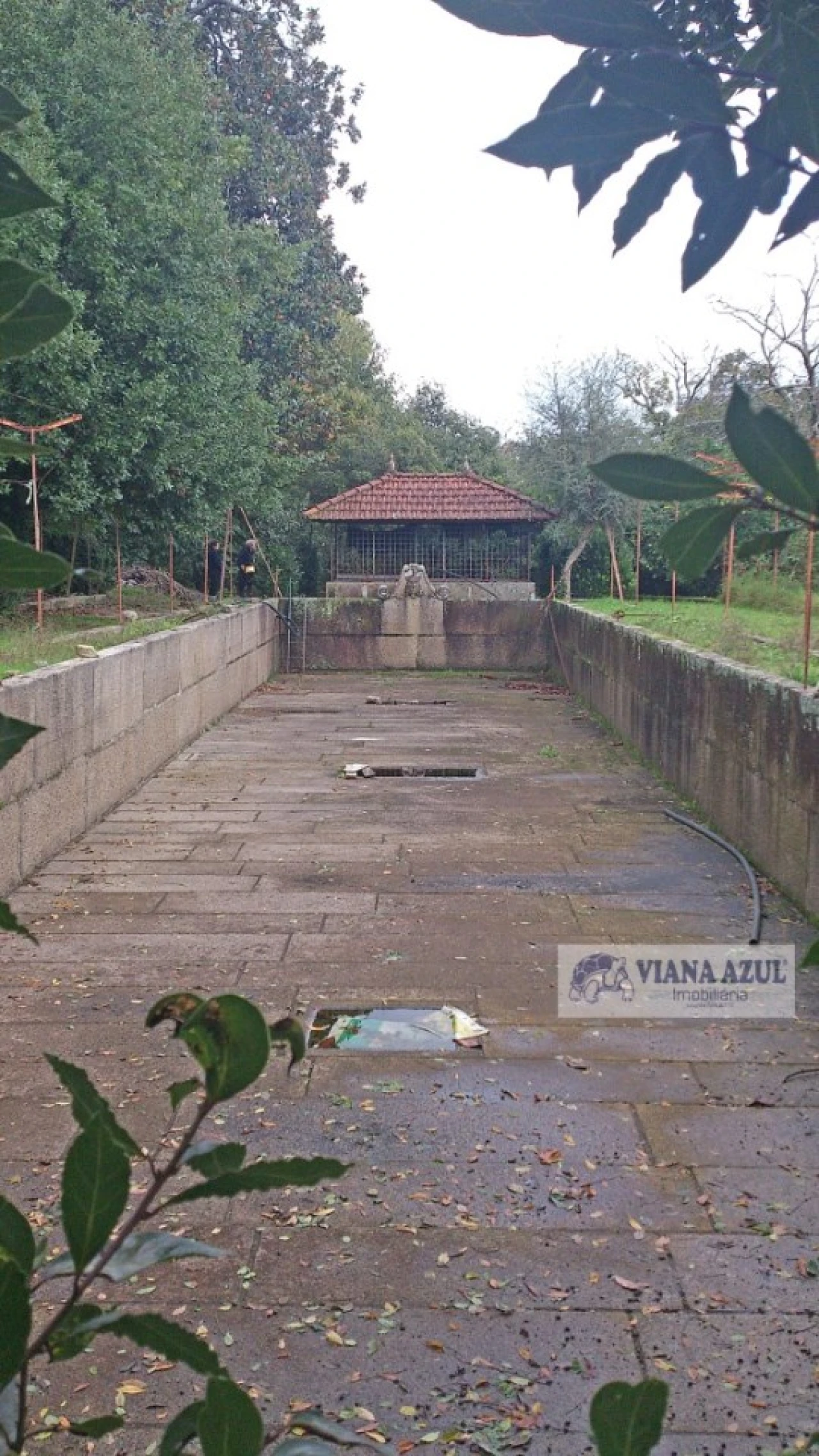 Quinta T8 para Venda em Santa Marta de Portuzelo Foto 3
