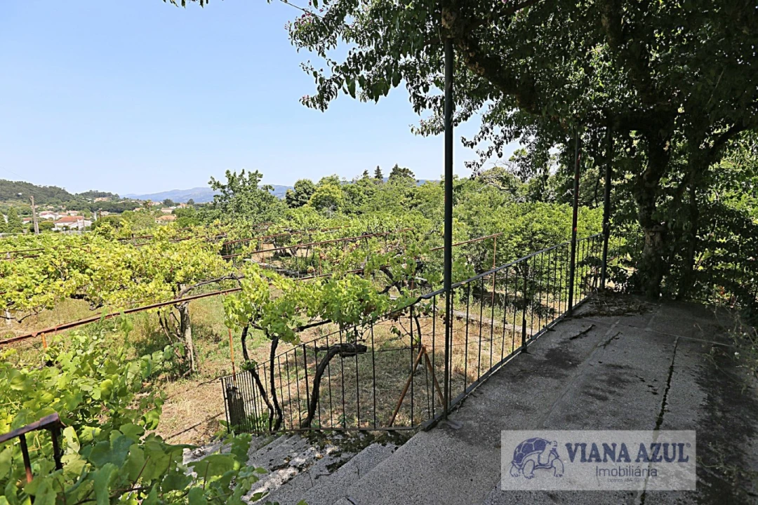 Quinta T8 para Venda em Santa Marta de Portuzelo Foto 11