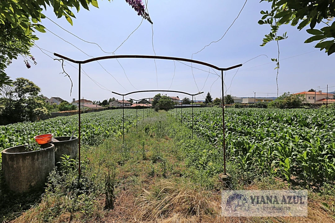 Quinta T8 para Venda em Santa Marta de Portuzelo Foto 12