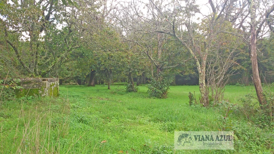 Quinta T8 para Venda em Santa Marta de Portuzelo Foto 9