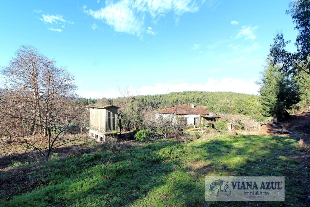 Quinta T3 para Venda em Nogueira, Meixedo e Vilar de Murteda Foto 1
