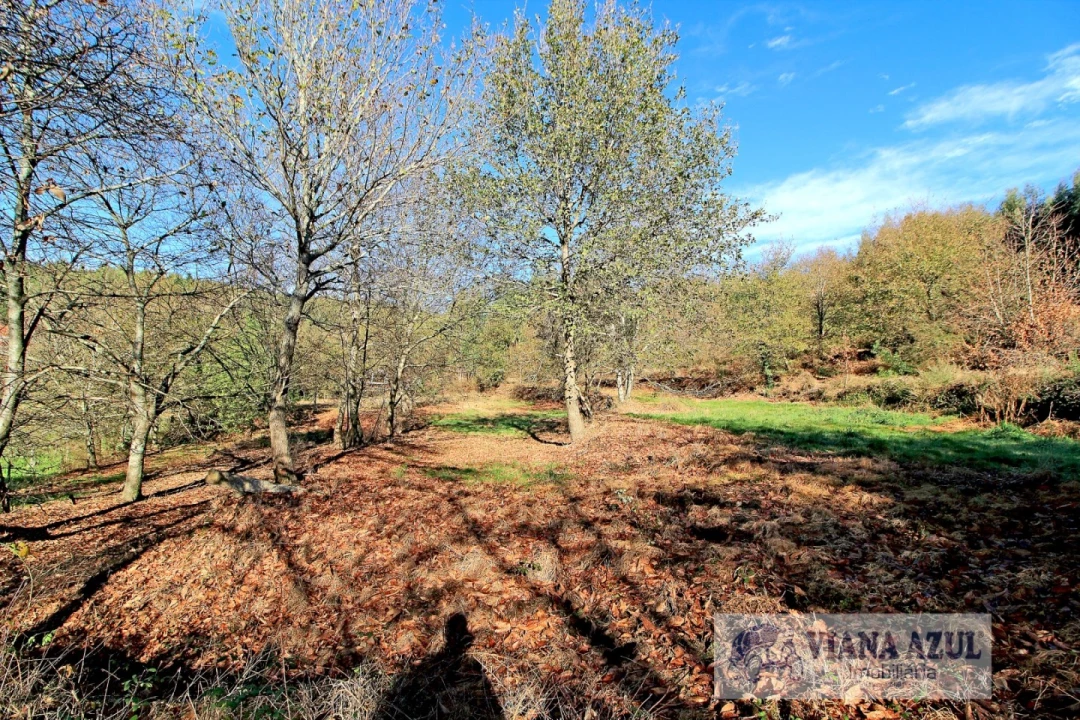 Quinta T3 para Venda em Nogueira, Meixedo e Vilar de Murteda Foto 10