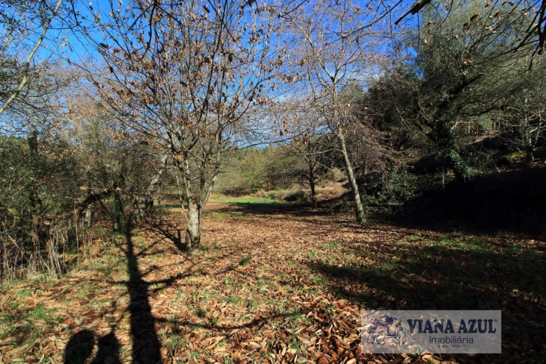 Quinta T3 para Venda em Nogueira, Meixedo e Vilar de Murteda Foto 12