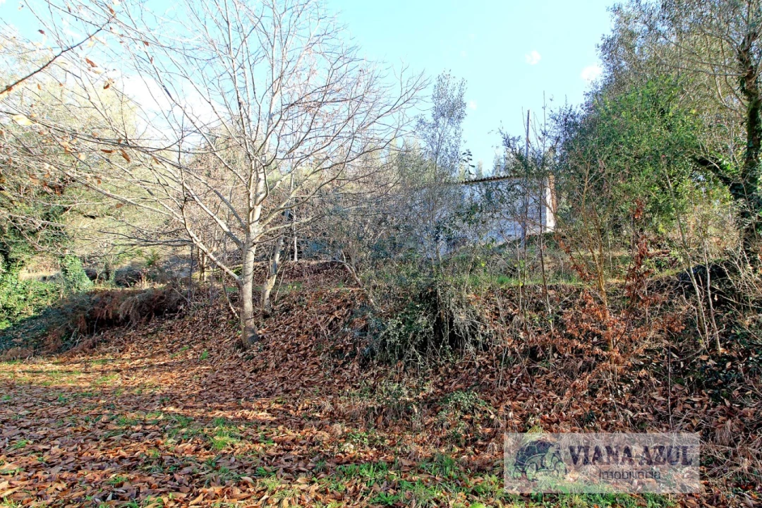 Quinta T3 para Venda em Nogueira, Meixedo e Vilar de Murteda Foto 13