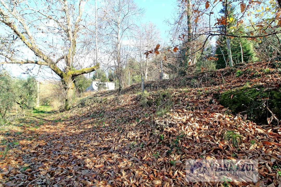 Quinta T3 para Venda em Nogueira, Meixedo e Vilar de Murteda Foto 15