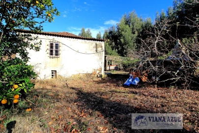 Quinta T3 para Venda em Nogueira, Meixedo e Vilar de Murteda