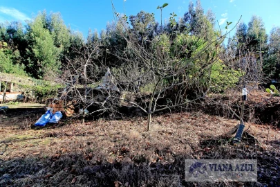 Quinta T3 para Venda em Nogueira, Meixedo e Vilar de Murteda
