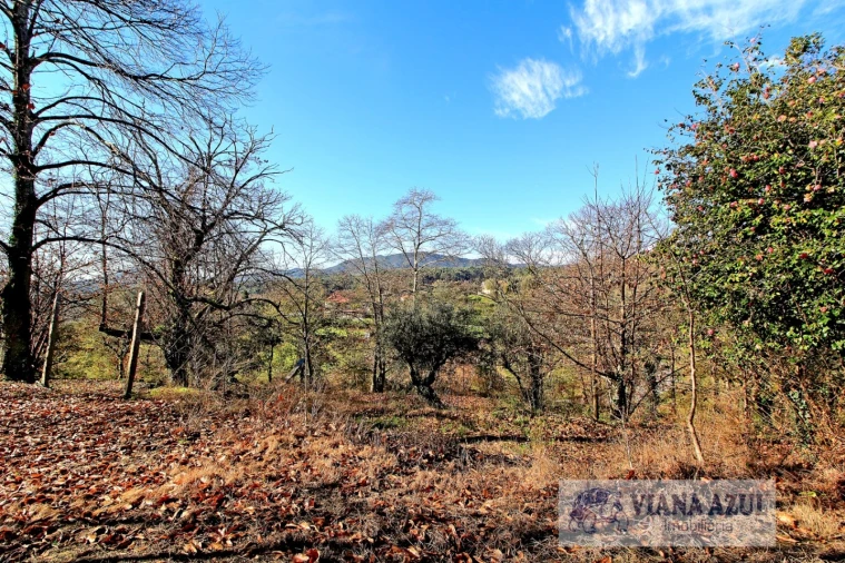 Quinta T3 para Venda em Nogueira, Meixedo e Vilar de Murteda Foto 5