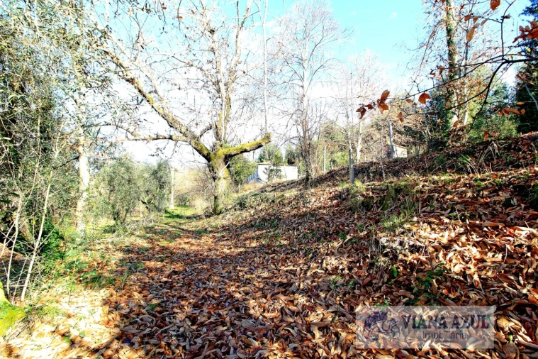 Quinta T3 para Venda em Nogueira, Meixedo e Vilar de Murteda Foto 14
