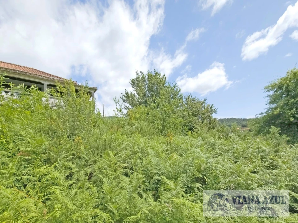 Moradia T4 para Venda em Loivo Foto 2