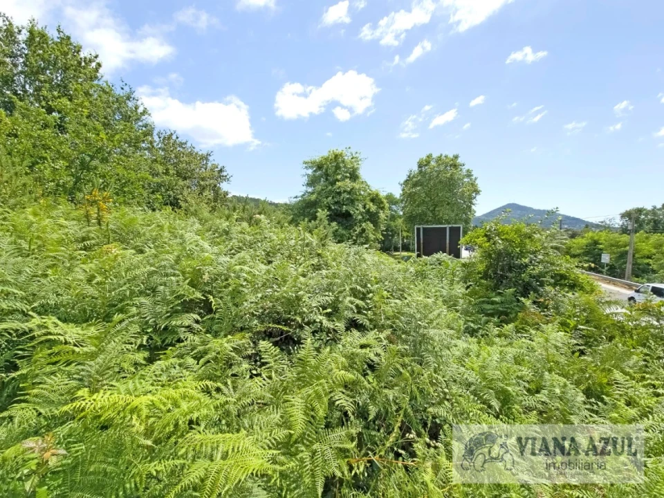 Moradia T4 para Venda em Loivo Foto 3