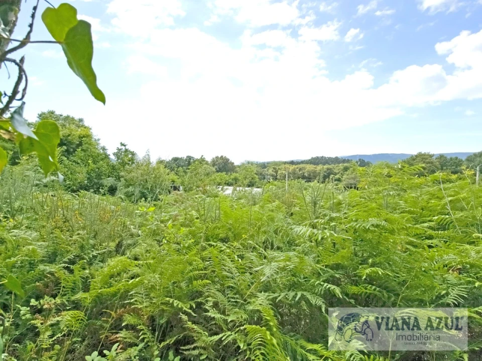 Moradia T4 para Venda em Loivo Foto 19