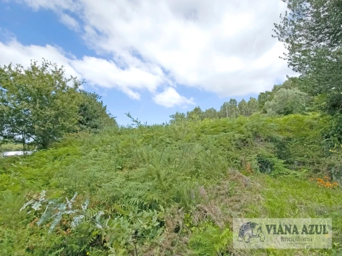 Moradia T4 para Venda em Loivo Foto 5