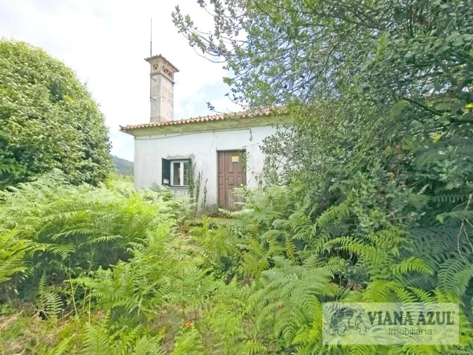 Moradia T4 para Venda em Loivo Foto 8