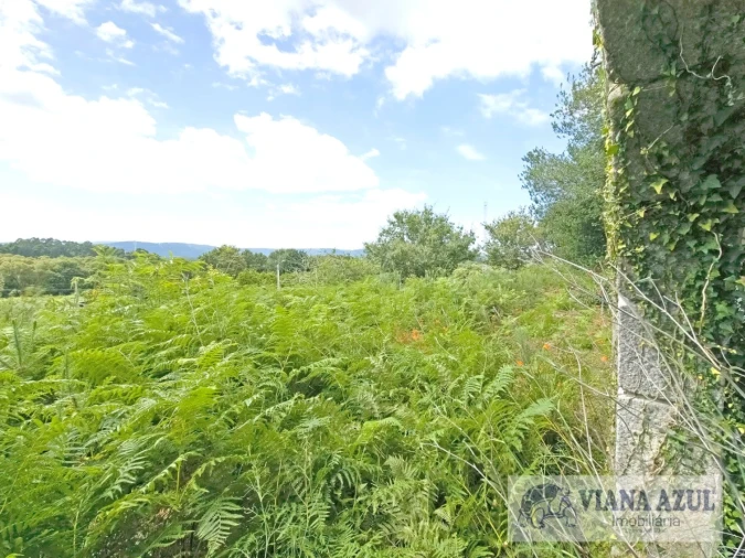 Moradia T4 para Venda em Loivo Foto 20