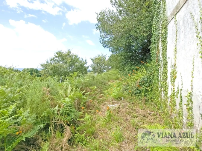 Moradia T4 para Venda em Loivo Foto 21