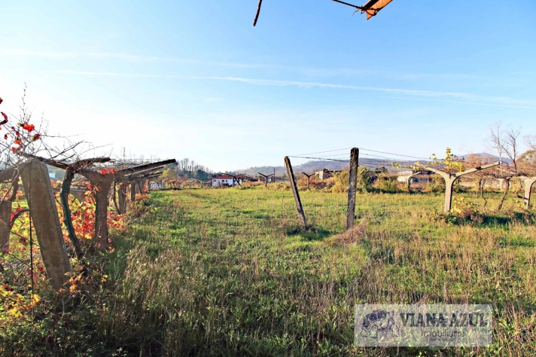 Quinta T3 para Venda em Ceivães e Badim Foto 8