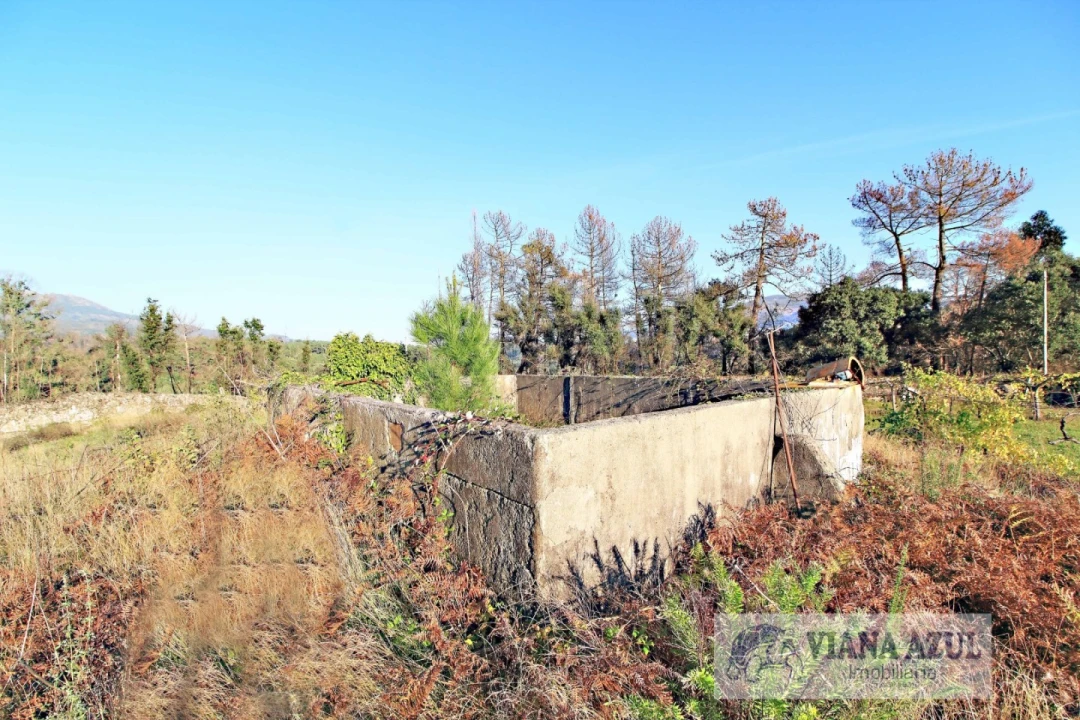 Quinta T3 para Venda em Ceivães e Badim Foto 10