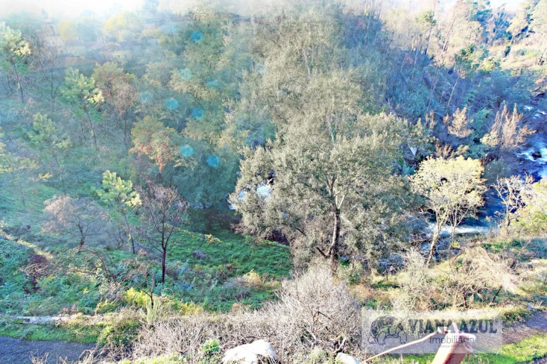 Quinta T3 para Venda em Ceivães e Badim Foto 13