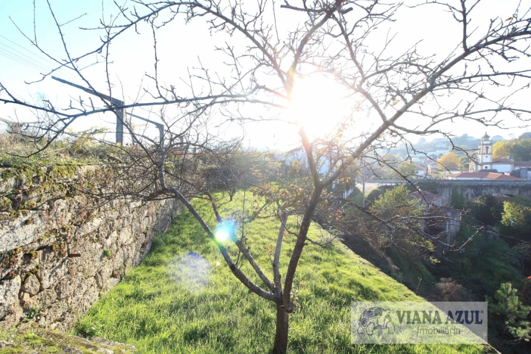 Quinta T3 para Venda em Ceivães e Badim Foto 14