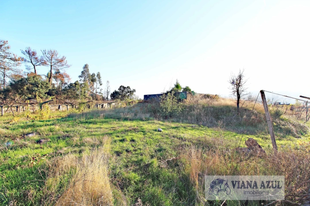 Quinta T3 para Venda em Ceivães e Badim Foto 16