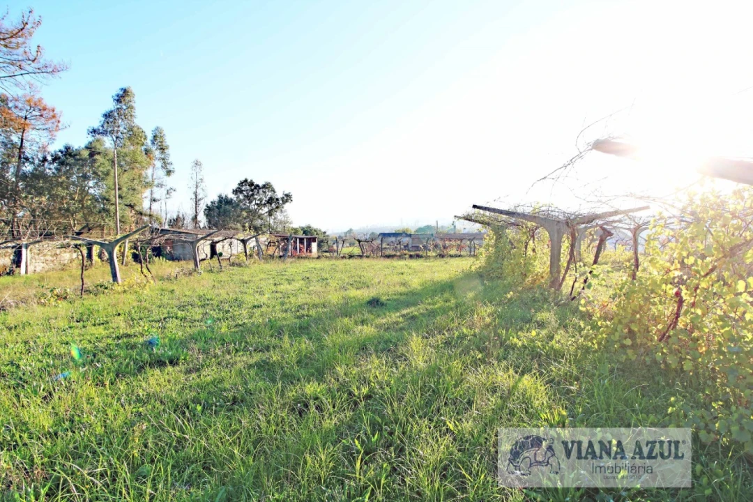 Quinta T3 para Venda em Ceivães e Badim Foto 17