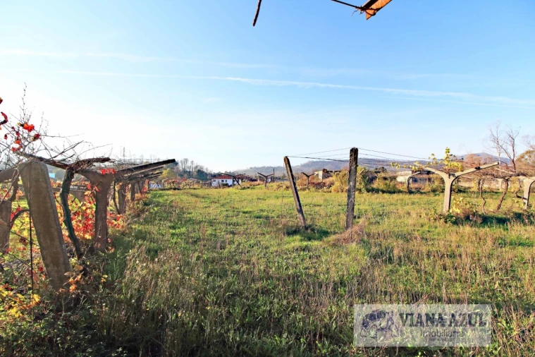 Quinta T3 para Venda em Ceivães e Badim Foto 8